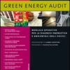 Green Energy Audit