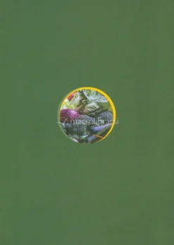 Greenfood