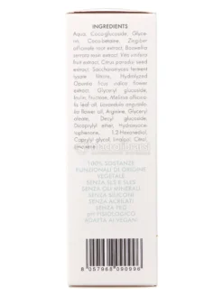 GSE Complex Mousse Detergente