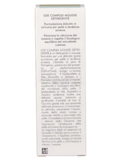 GSE Complex Mousse Detergente