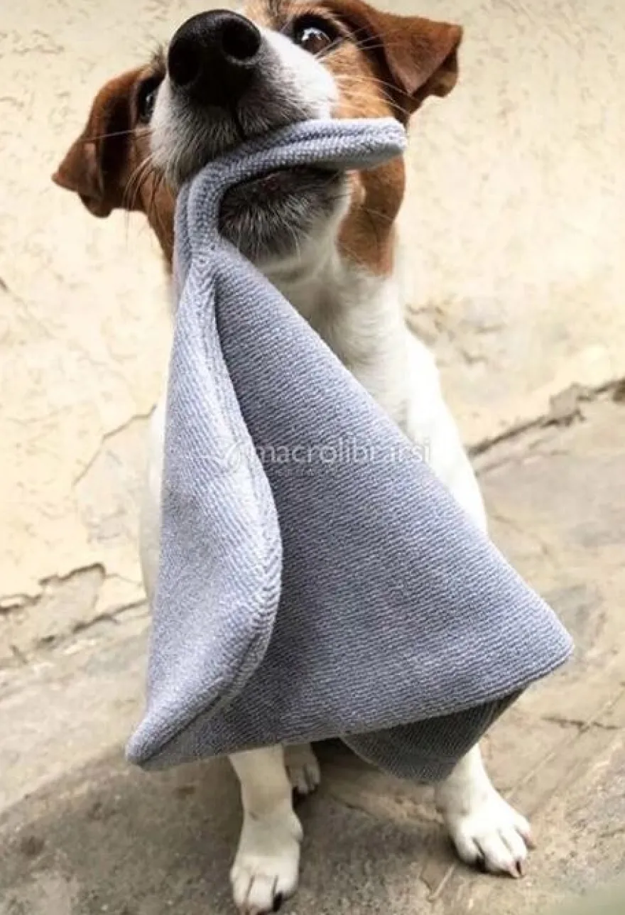 Guanto Anti-Batterico per Cani e Gatti - Taglia S