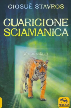 Guarigione Sciamanica