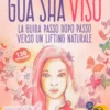 Gua Sha Viso