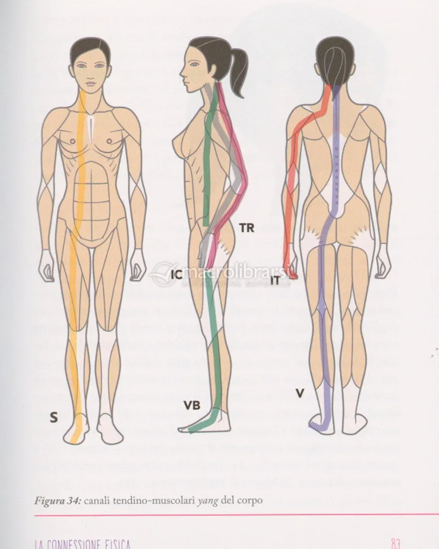 Gua Sha Viso