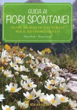 Guida ai Fiori Spontanei