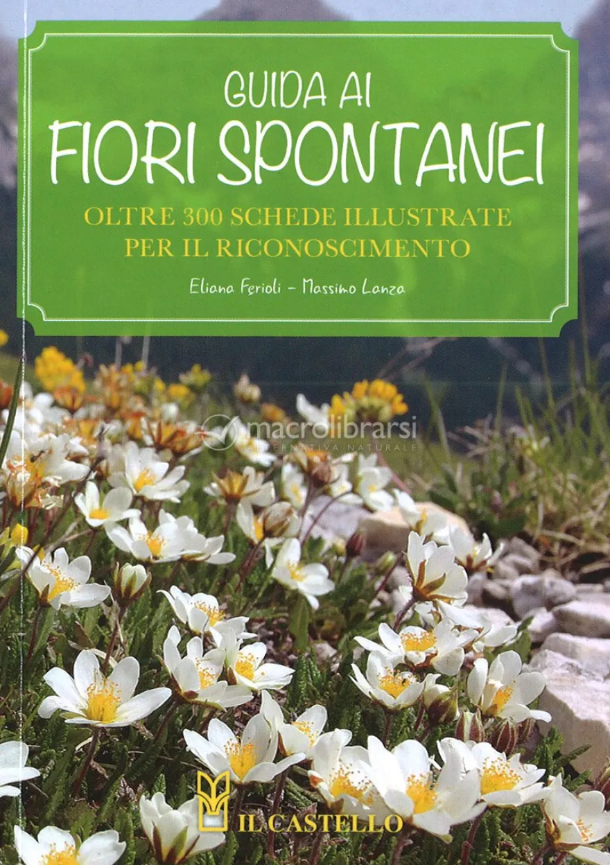 Guida ai Fiori Spontanei