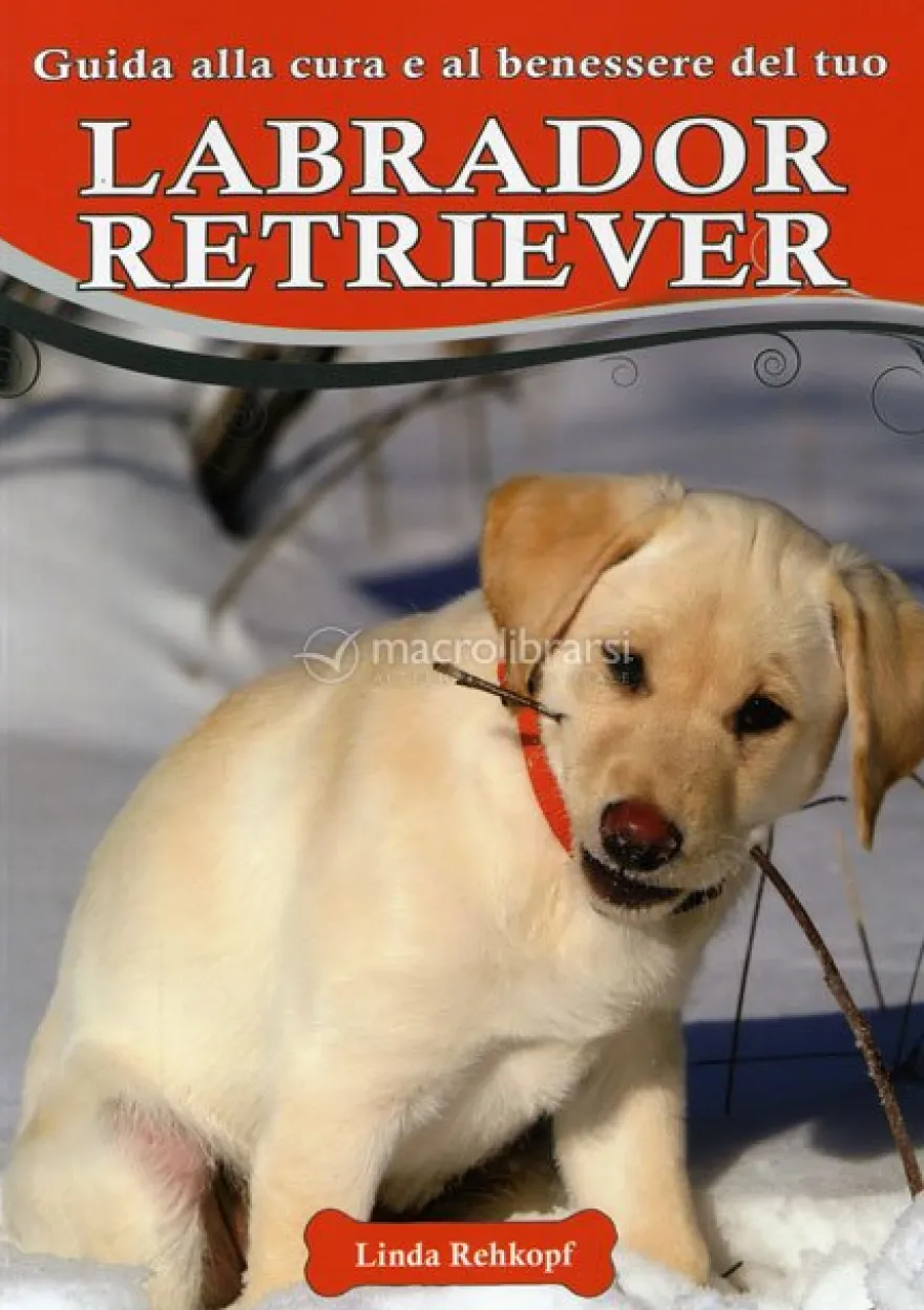 Guida alla Cura e al Benessere del tuo Labrador Retriever