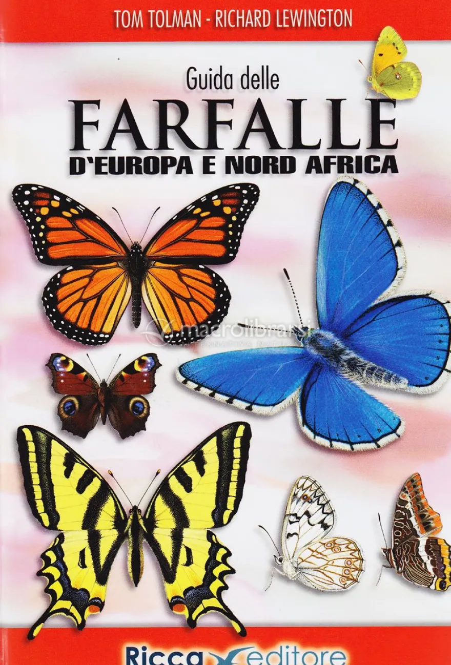 Guida alle Farfalle d'Europa