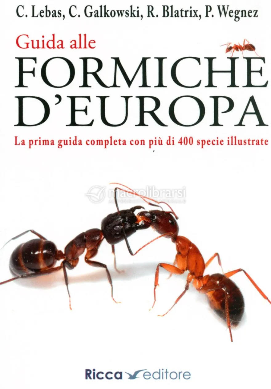 Guida alle Formiche d'Europa