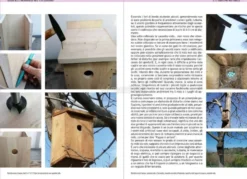 Guida alle Meraviglie del tuo Giardino