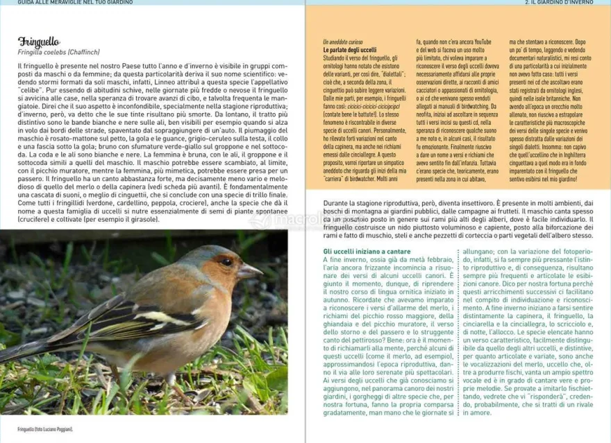 Guida alle Meraviglie del tuo Giardino