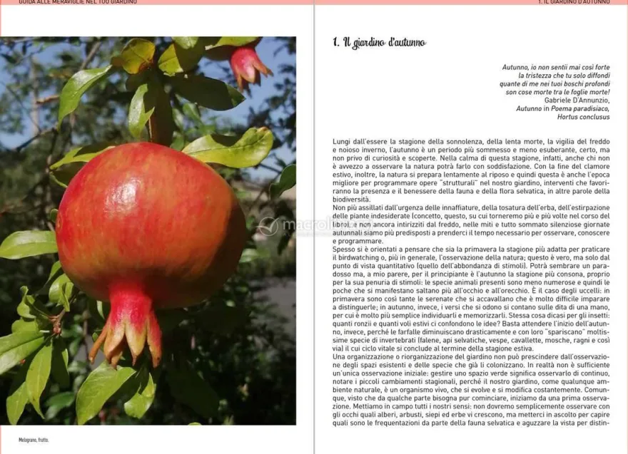 Guida alle Meraviglie del tuo Giardino