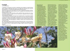 Guida alle Meraviglie del tuo Giardino