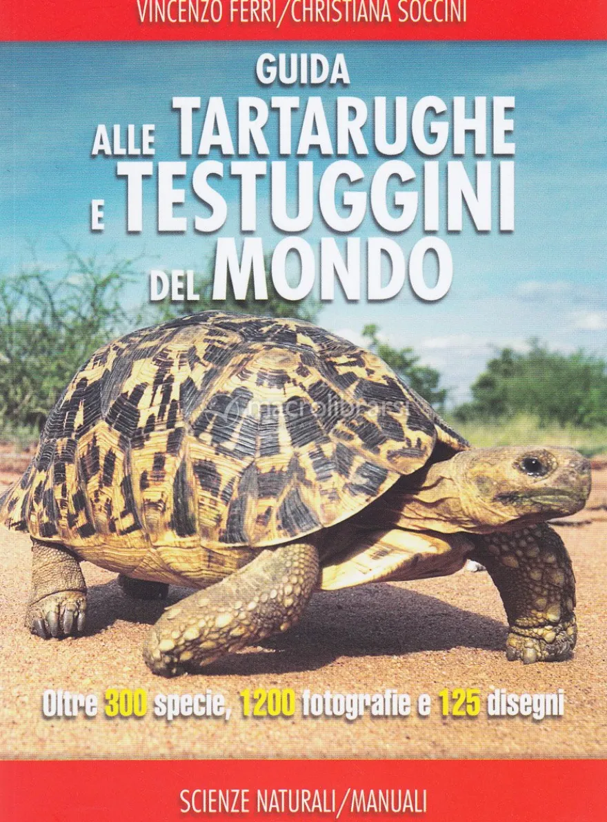 Guida alle Tartarughe e Testuggini del Mondo