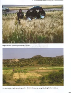 Guida al Miglioramento Genetico Evolutivo per Agricoltori