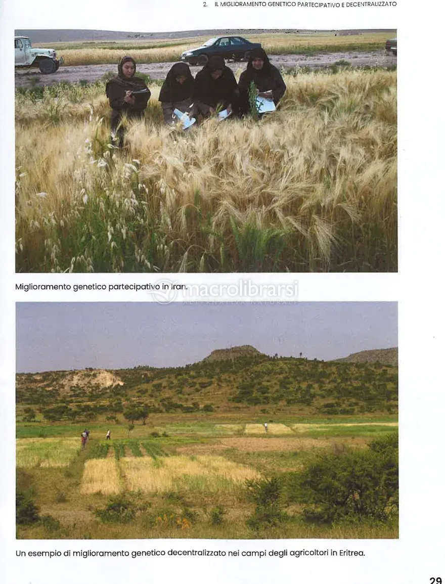 Guida al Miglioramento Genetico Evolutivo per Agricoltori