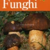 Guida Completa al Riconoscimento dei Funghi