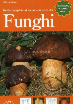 Guida Completa al Riconoscimento dei Funghi
