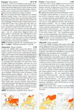 Guida Degli Uccelli d'Europa, Nord Africa e Vicino Oriente
