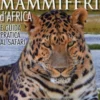 Guida dei Mammiferi d'Africa e Guida Pratica al Safari