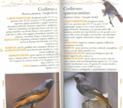Guida Fotografica - Uccelli delle Nostre Montagne