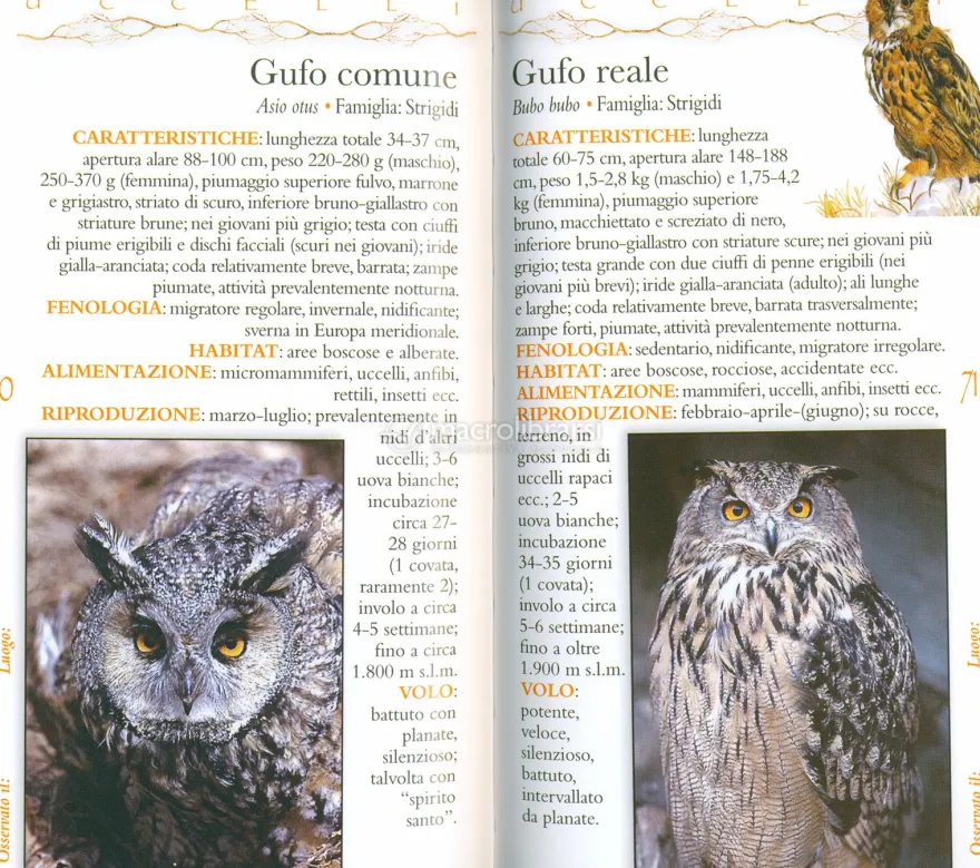 Guida Fotografica - Uccelli delle Nostre Montagne