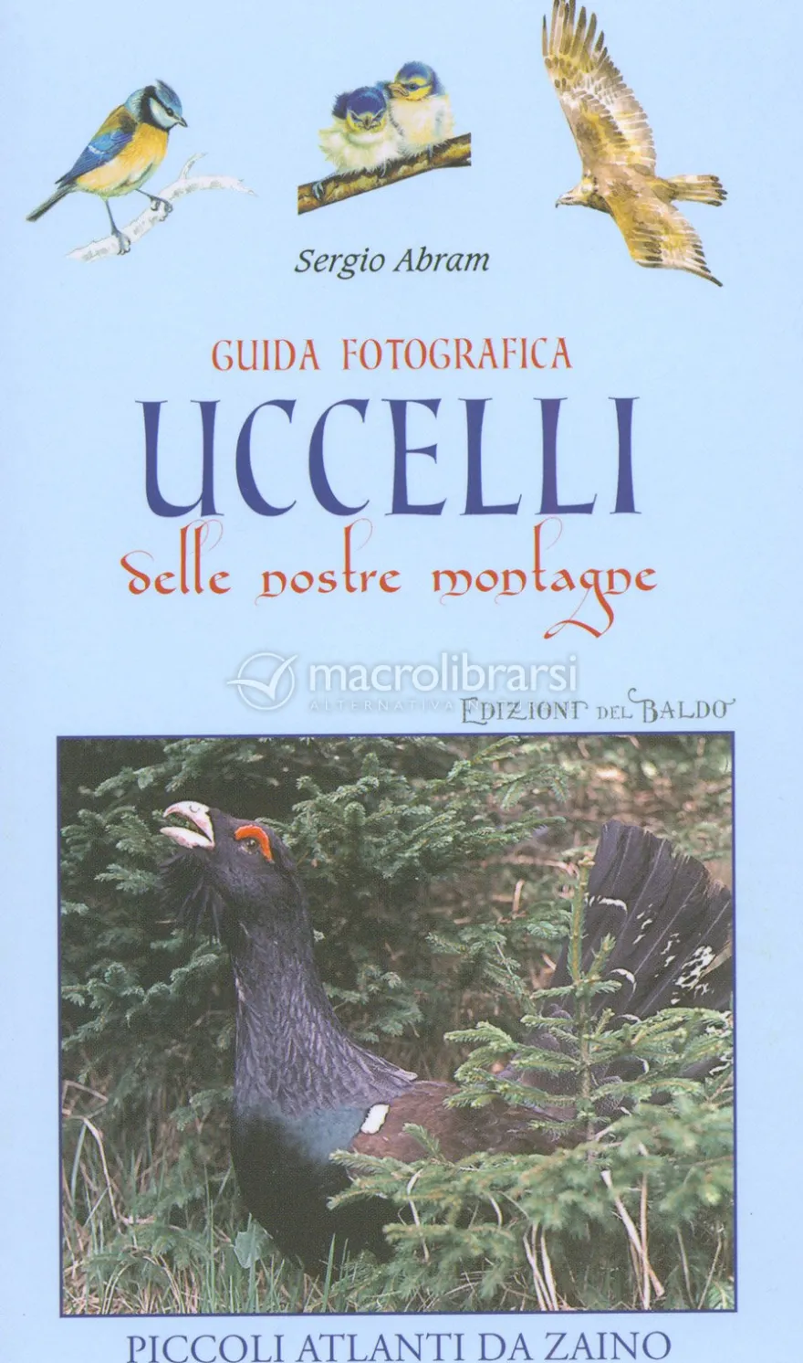 Guida Fotografica - Uccelli delle Nostre Montagne