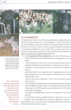 Guida Pratica ai Microrganismi Effettivi