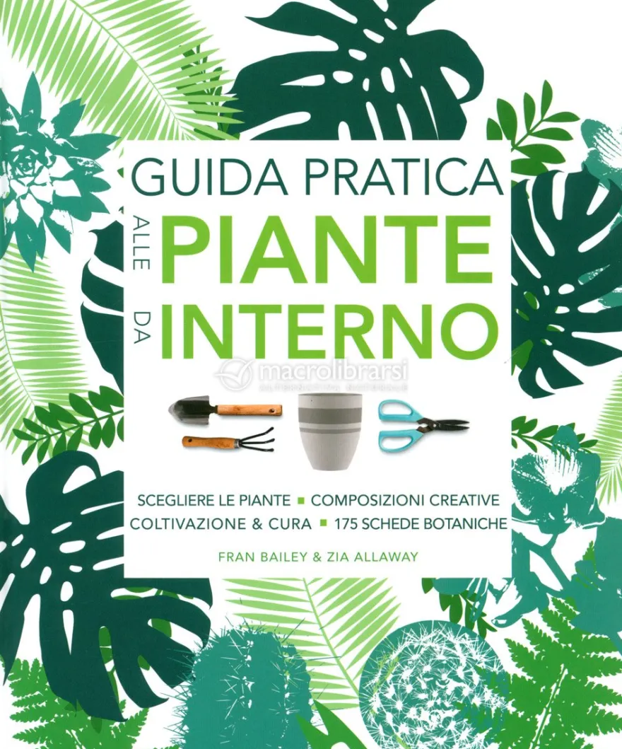 Guida Pratica alle Piante da Interno
