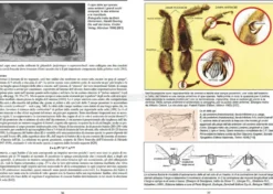 Guida Pratica di Apicoltura