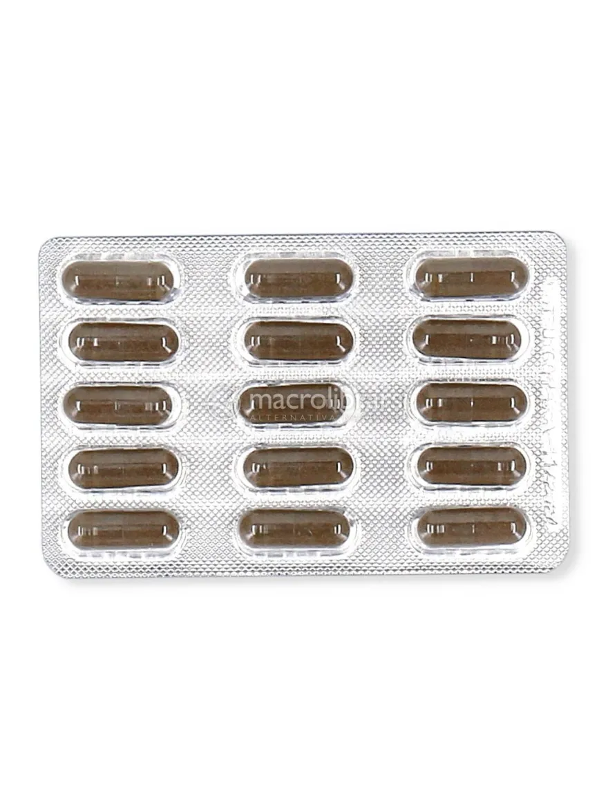 Gymnema