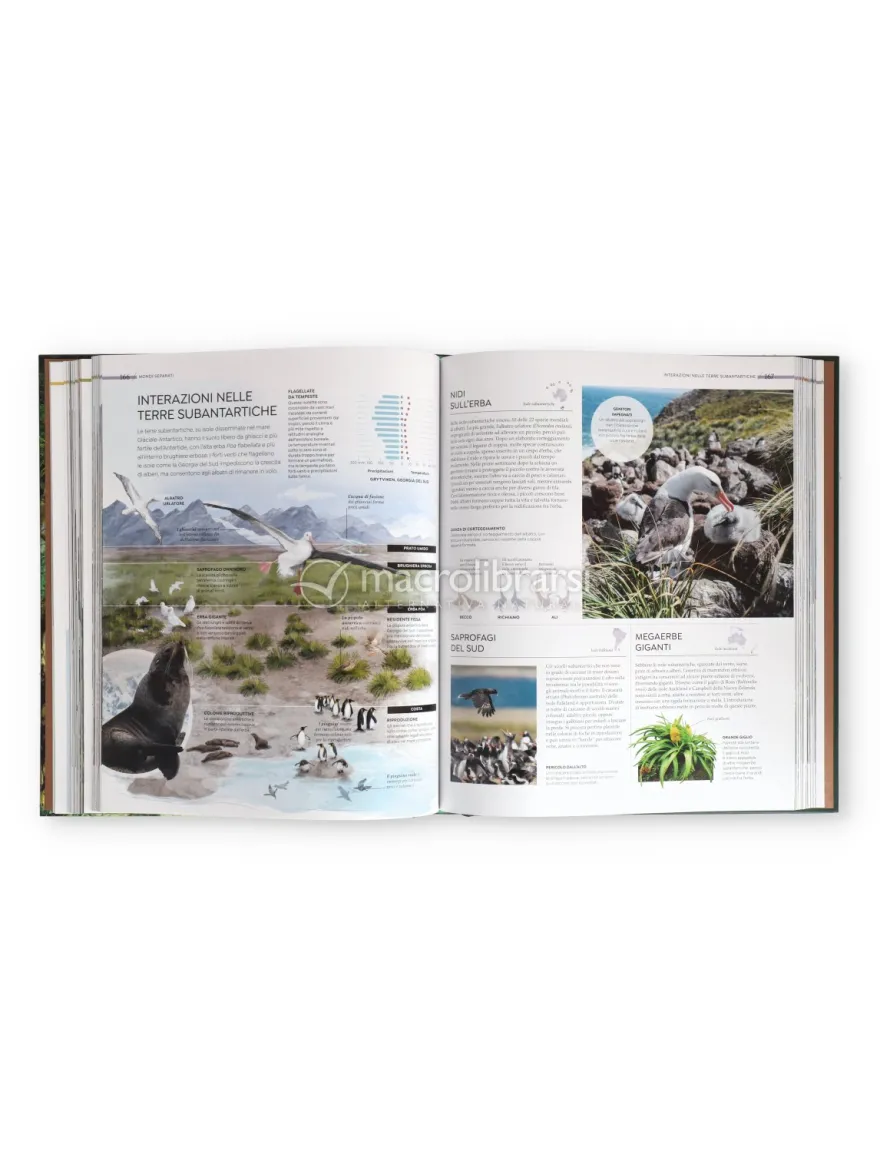 Habitat - Alla Scoperta della Natura Selvaggia