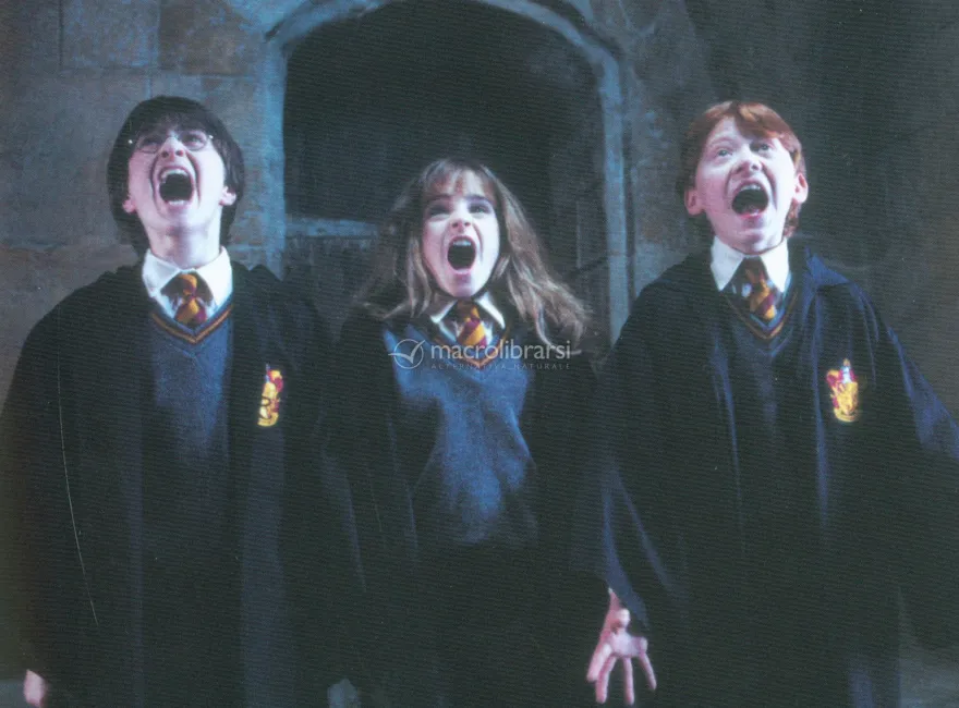 Harry Potter e la Pietra Filosofale - Il Libro Magico Lenticular
