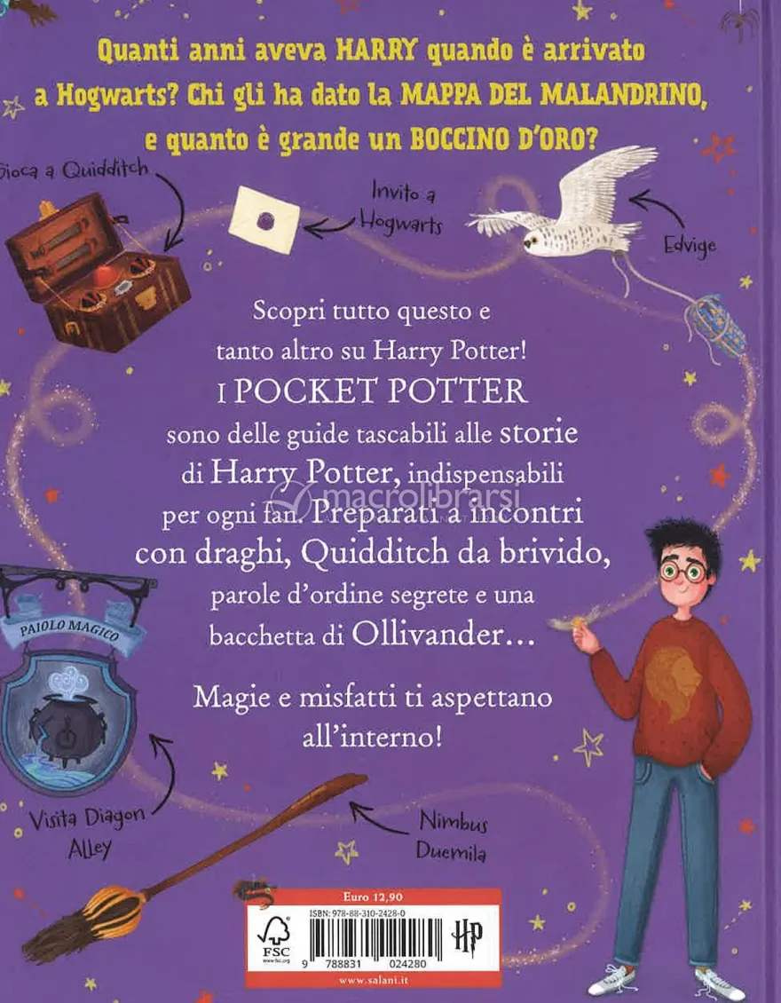 Harry Potter - Pocket Potter