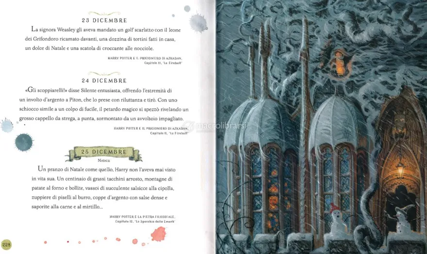 Harry Potter - Un Anno Magico