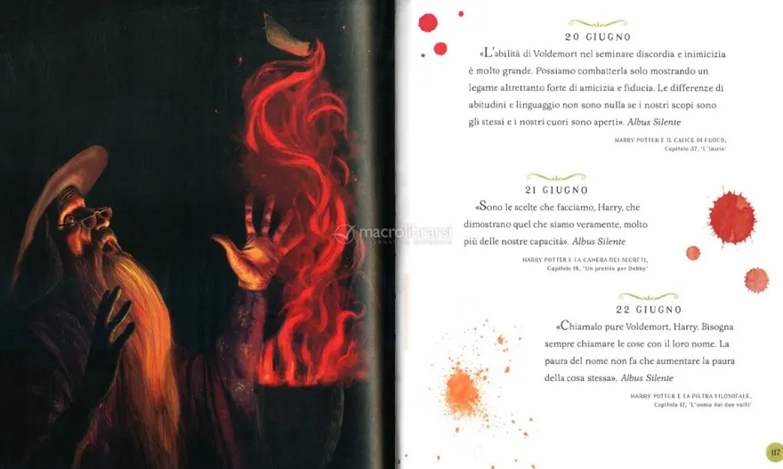 Harry Potter - Un Anno Magico