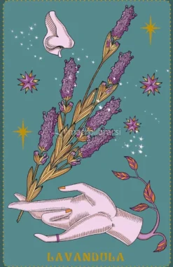Herbarium - Oracle Cards