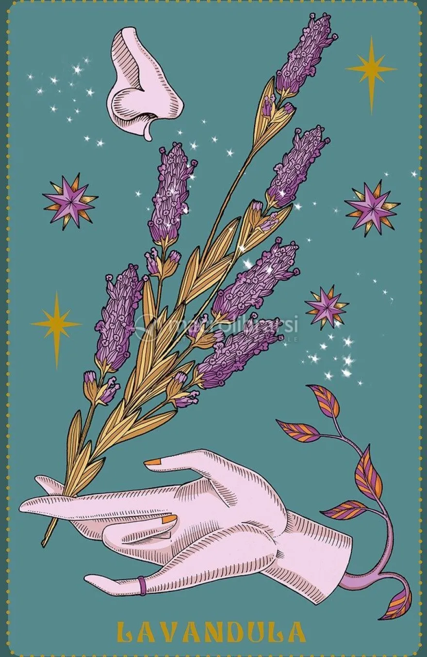 Herbarium - Oracle Cards