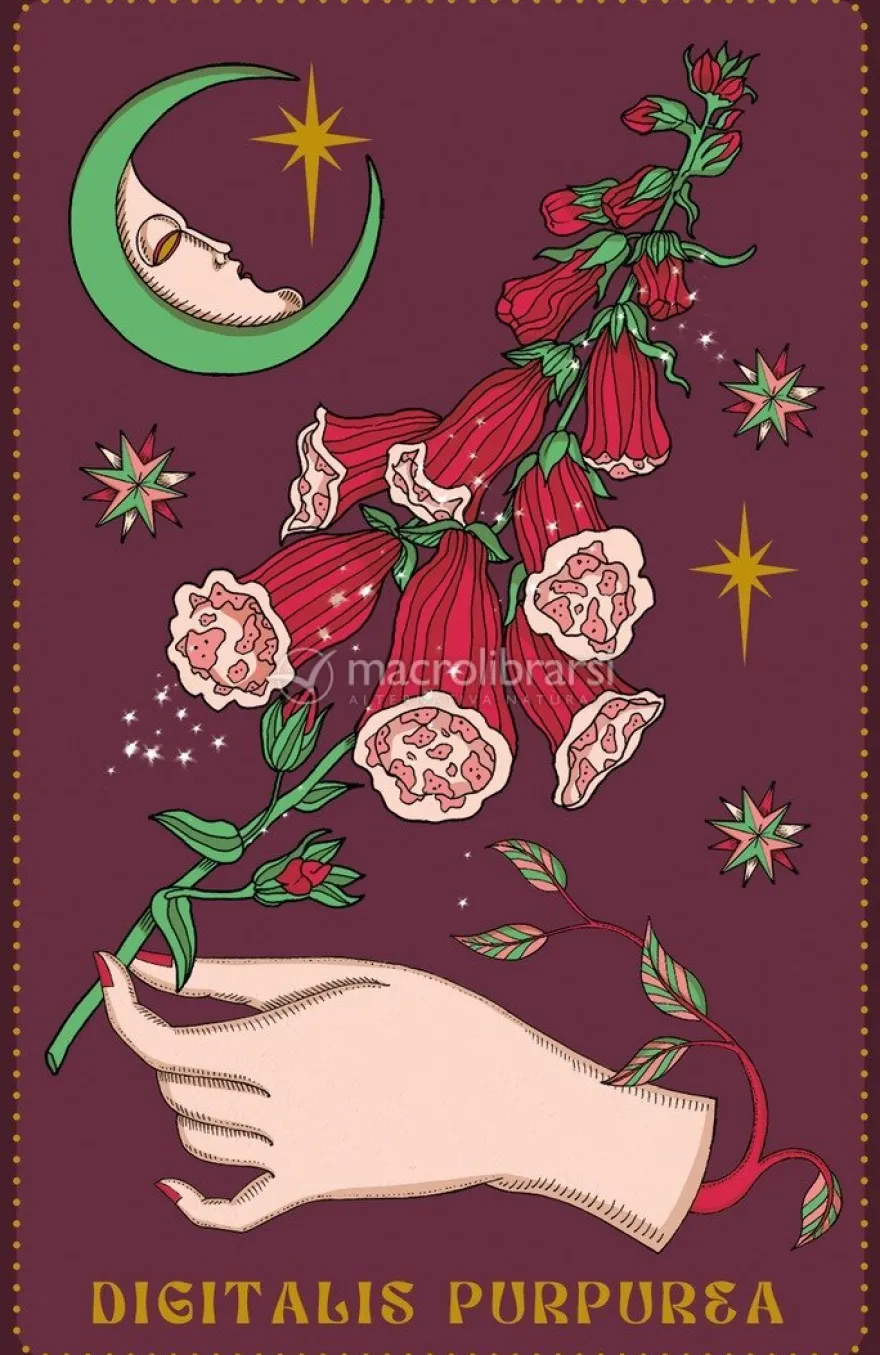 Herbarium - Oracle Cards
