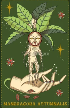 Herbarium - Oracle Cards