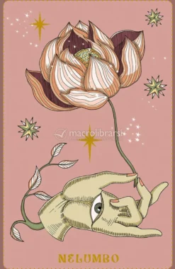 Herbarium - Oracle Cards