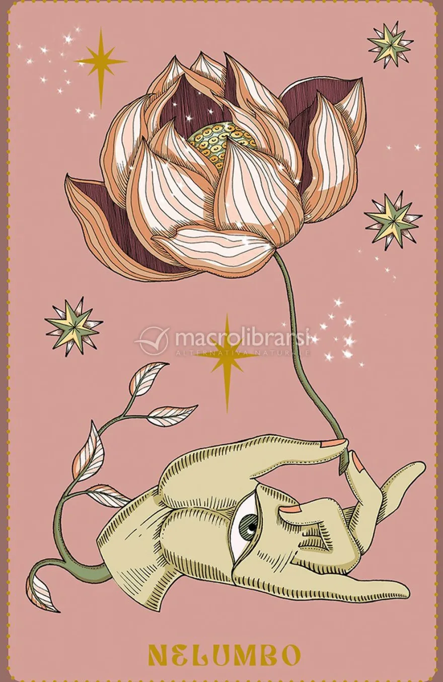 Herbarium - Oracle Cards