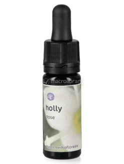 Holly- Dose