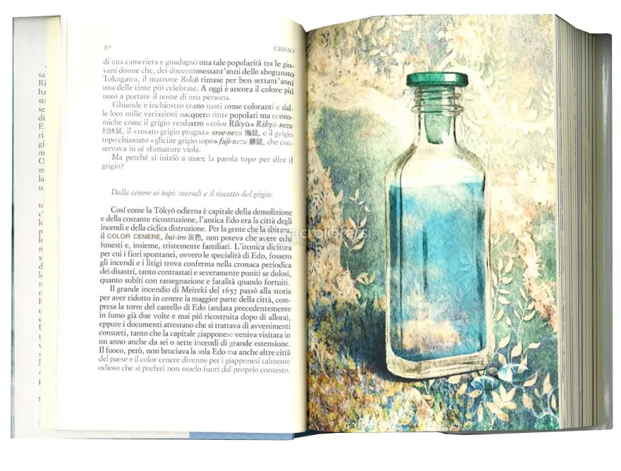 I Colori del Giappone
