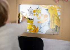 I Colori delle Emozioni - Kamishibai