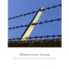 I Diritti degli Animali