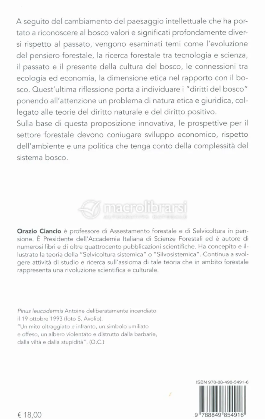 I Diritti del Bosco