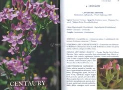 I Fiori di Bach - Rimedi della Natura