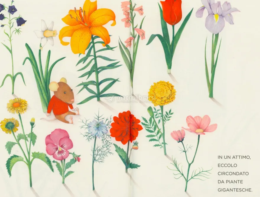 I Fiori di Carlo