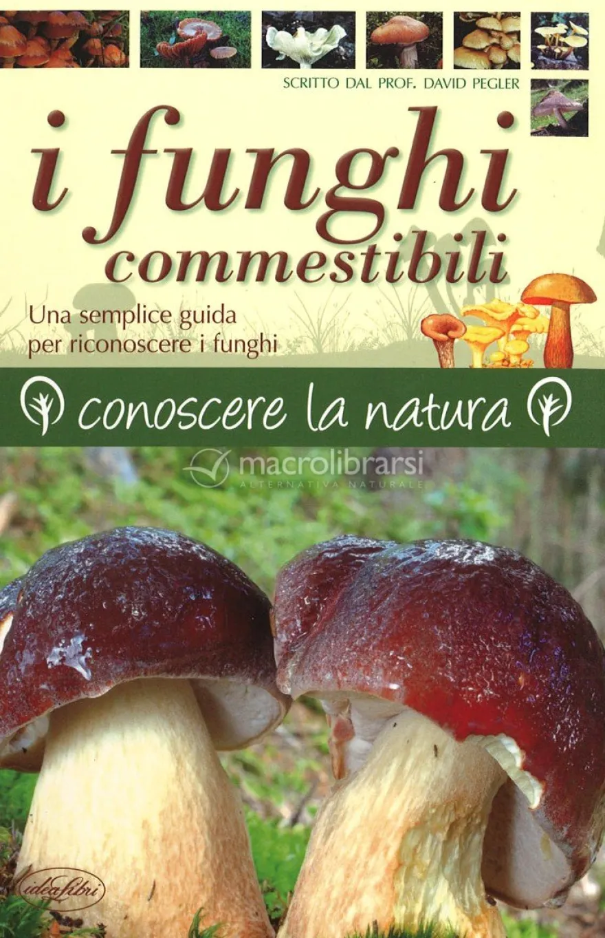 I Funghi Commestibili